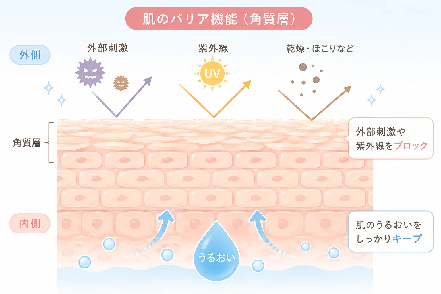 角質層が紫外線・外部刺激をブロックし内側のうるおいを保つ仕組みのイラスト